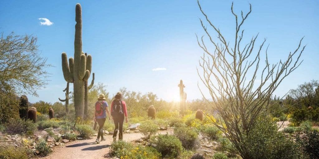 two hikers in the scottsdale desert